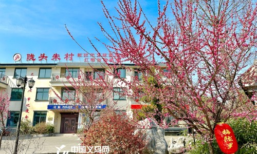 哪一款麦冬好-药用哪个品种麦冬好网 - 为你提供哪种麦冬药用价值最好、药用麦冬哪个品种最好